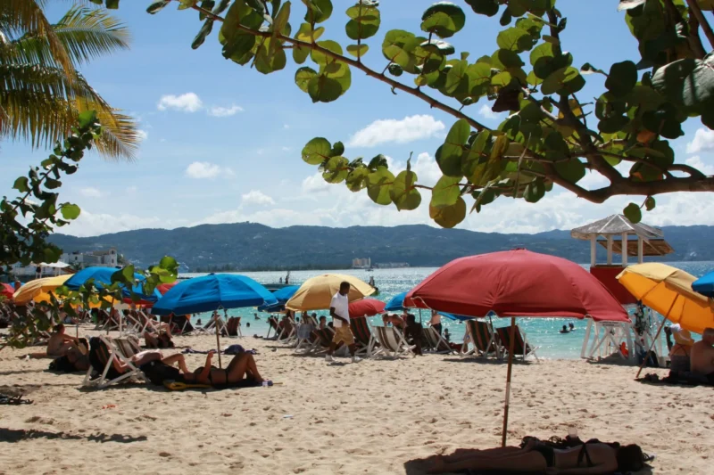 Montego bay jamaica riffhai beisst britin finger ab